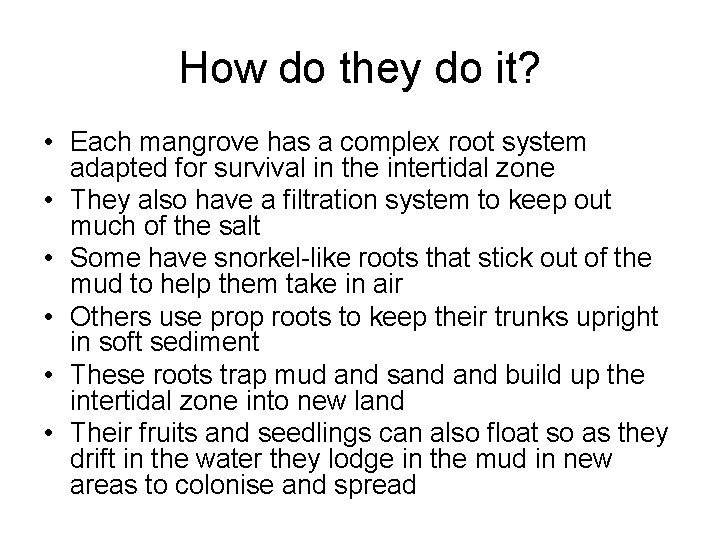 How do they do it? • Each mangrove has a complex root system adapted