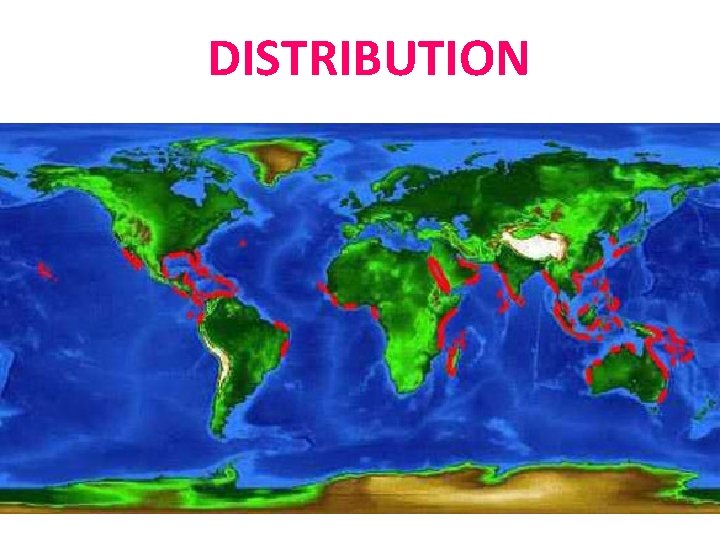 DISTRIBUTION 