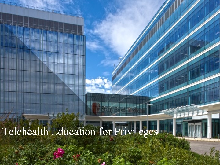 Telehealth Education for Privileges 