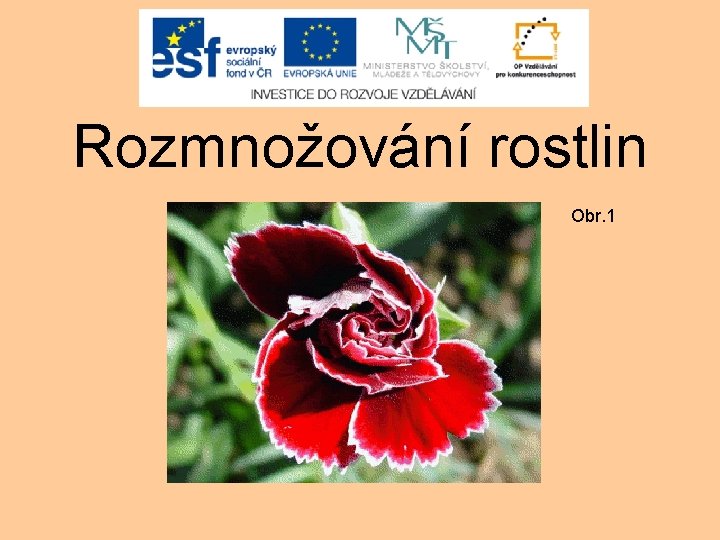 Rozmnožování rostlin Obr. 1 