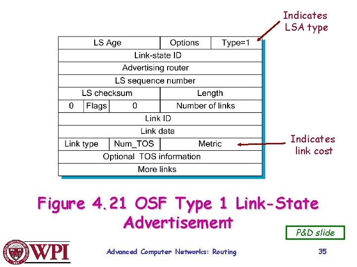 Indicates LSA type Indicates link cost Figure 4. 21 OSF Type 1 Link-State Advertisement