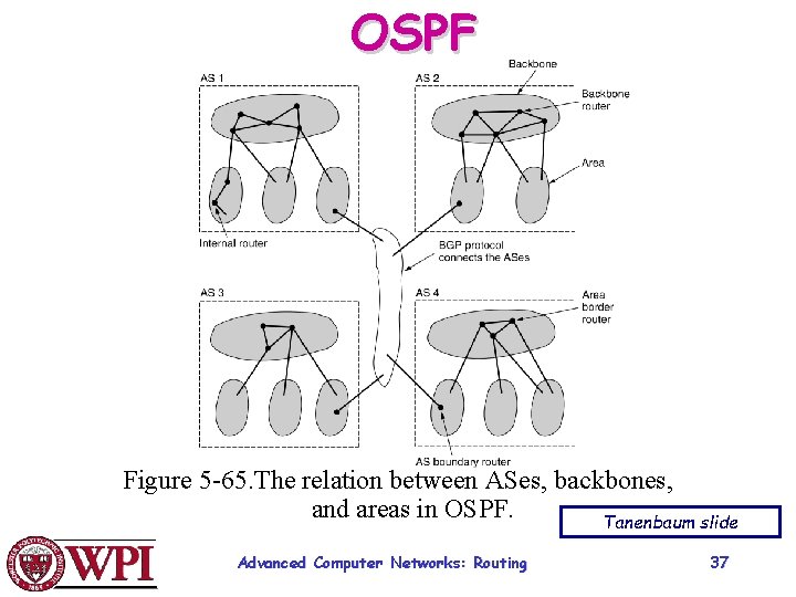 OSPF Figure 5 -65. The relation between ASes, backbones, and areas in OSPF. Tanenbaum
