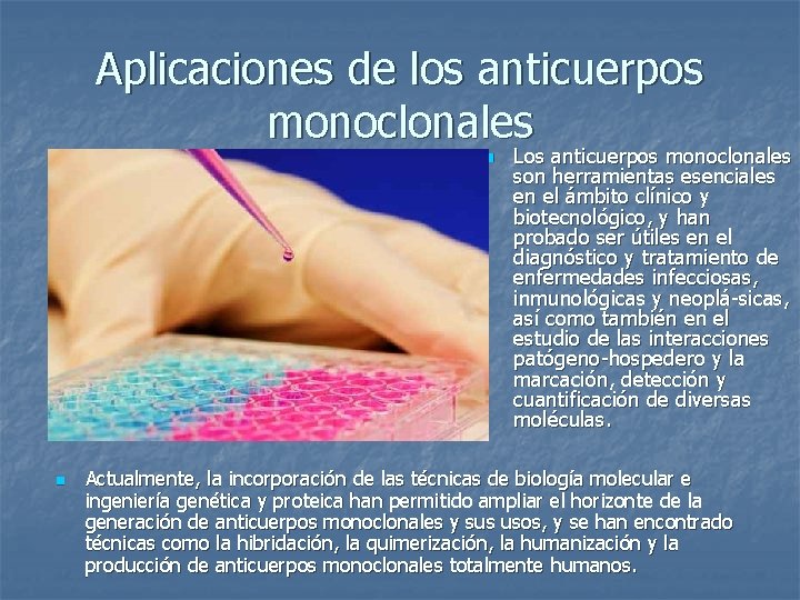 Aplicaciones de los anticuerpos monoclonales n n Los anticuerpos monoclonales son herramientas esenciales en