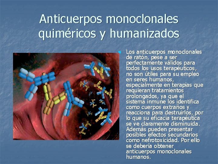 Anticuerpos monoclonales quiméricos y humanizados n Los anticuerpos monoclonales de ratón, pese a ser
