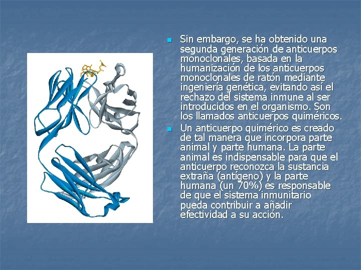 n n Sin embargo, se ha obtenido una segunda generación de anticuerpos monoclonales, basada