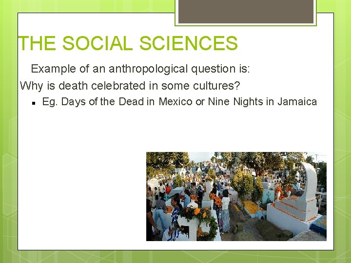 THE SOCIAL SCIENCES Example of an anthropological question is: Why is death celebrated in