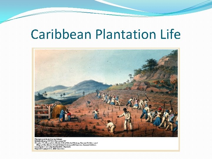 Caribbean Plantation Life 