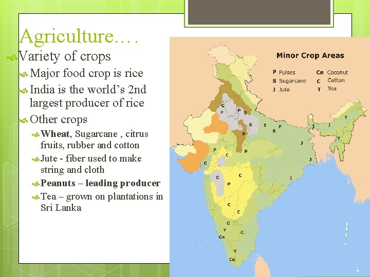 Agriculture…. Variety of crops Major food crop is rice India is the world’s 2