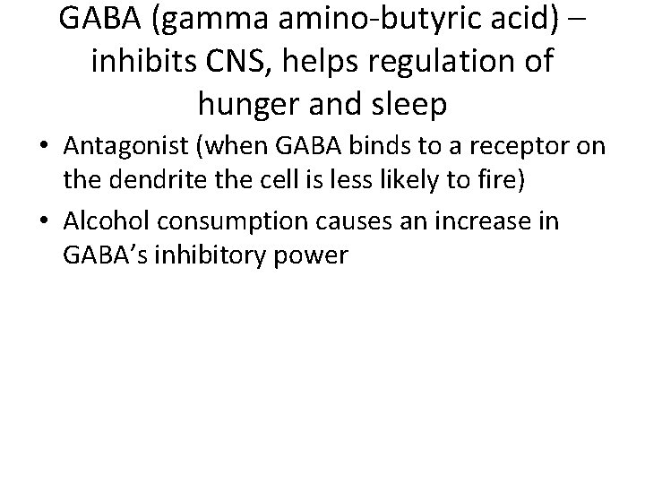 GABA (gamma amino-butyric acid) – inhibits CNS, helps regulation of hunger and sleep •