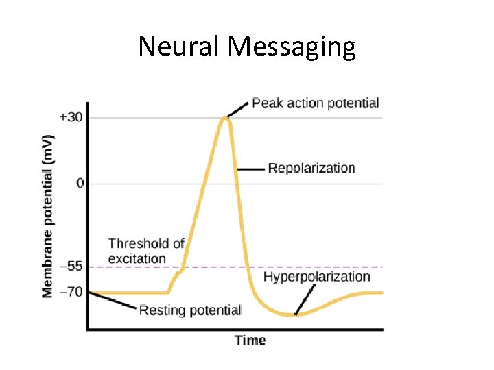 Neural Messaging 