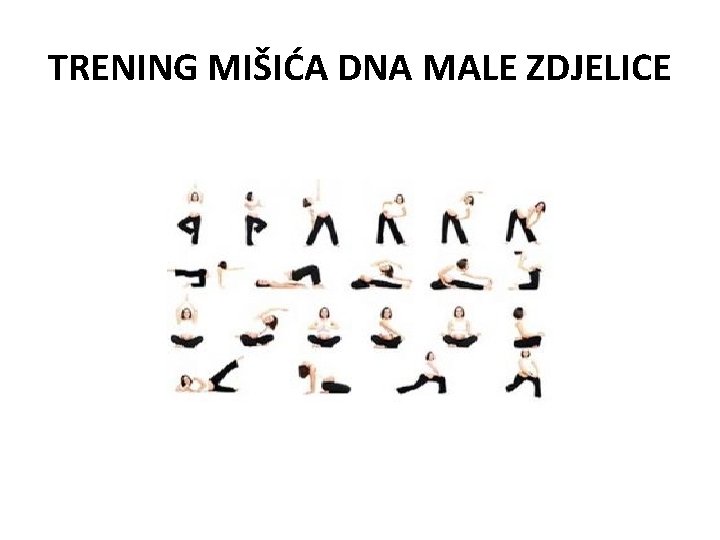 TRENING MIŠIĆA DNA MALE ZDJELICE 