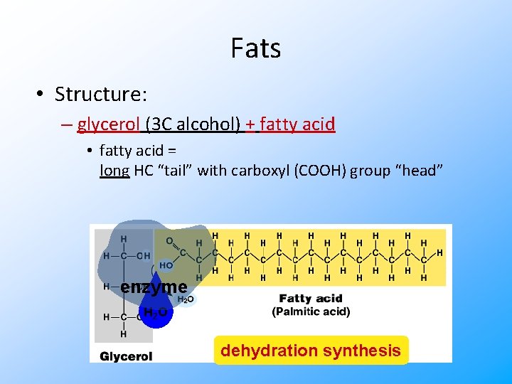 Fats • Structure: – glycerol (3 C alcohol) + fatty acid • fatty acid
