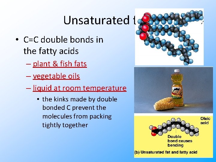 Unsaturated fats • C=C double bonds in the fatty acids – plant & fish