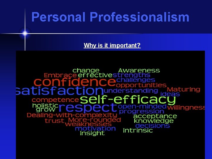 Personal Professionalism Why is it important? 