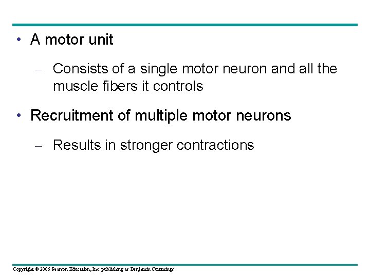  • A motor unit – Consists of a single motor neuron and all