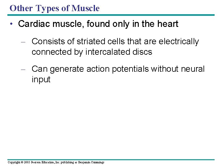 Other Types of Muscle • Cardiac muscle, found only in the heart – Consists