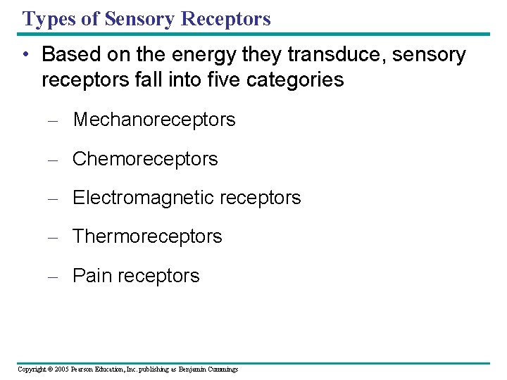 Types of Sensory Receptors • Based on the energy they transduce, sensory receptors fall
