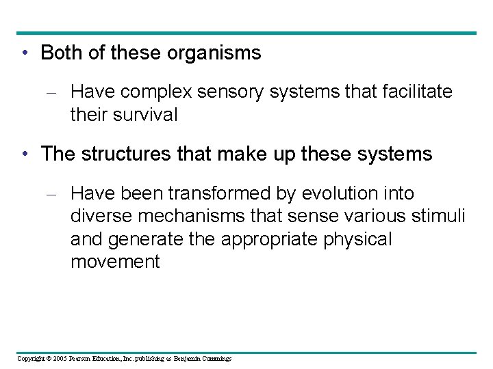  • Both of these organisms – Have complex sensory systems that facilitate their