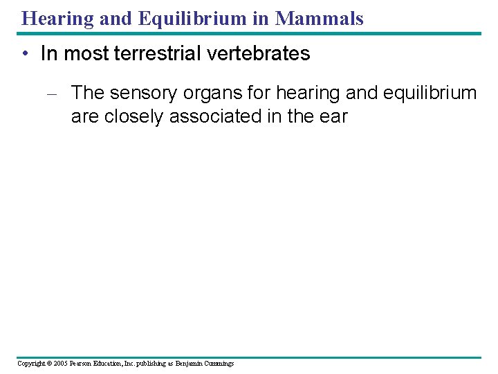 Hearing and Equilibrium in Mammals • In most terrestrial vertebrates – The sensory organs Hearing and Equilibrium in Mammals • In most terrestrial vertebrates – The sensory organs