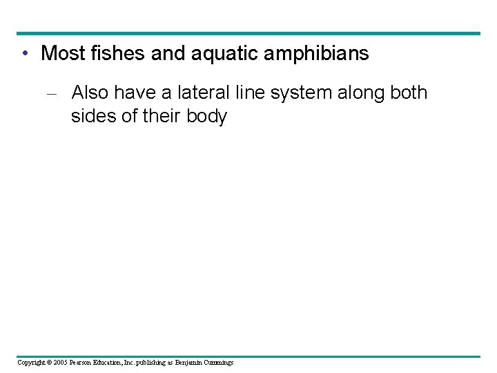  • Most fishes and aquatic amphibians – Also have a lateral line system