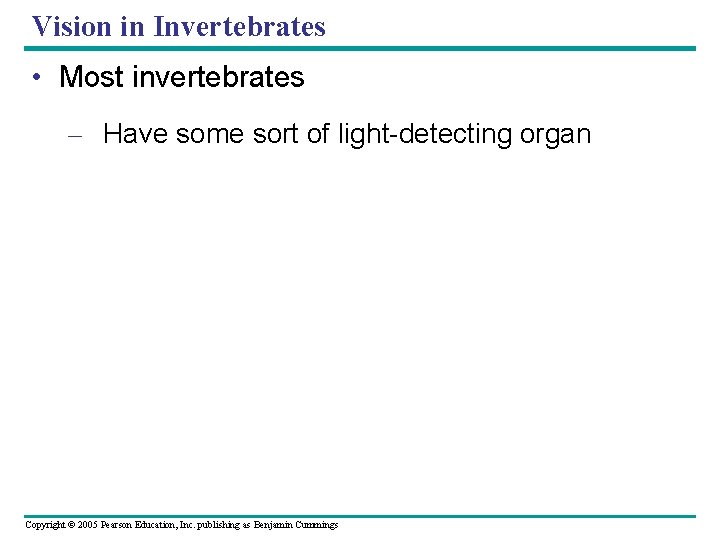 Vision in Invertebrates • Most invertebrates – Have some sort of light-detecting organ Copyright