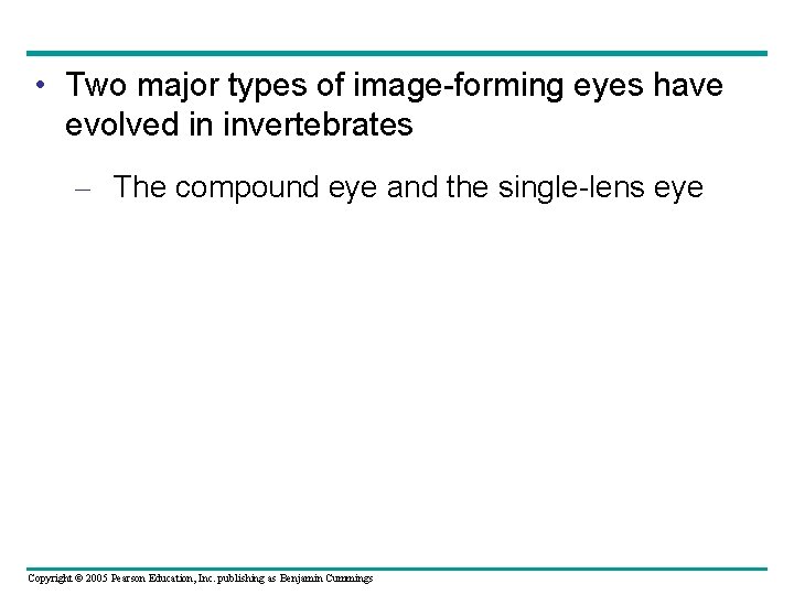  • Two major types of image-forming eyes have evolved in invertebrates – The