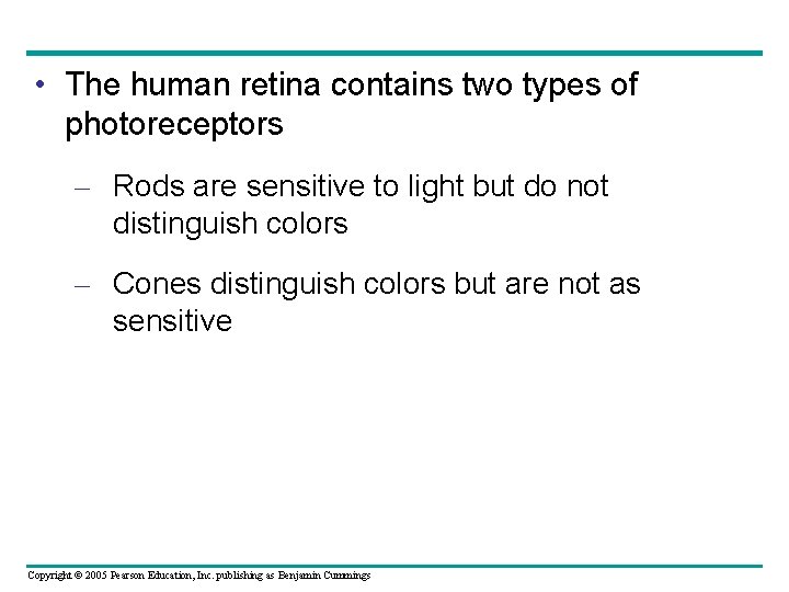  • The human retina contains two types of photoreceptors – Rods are sensitive