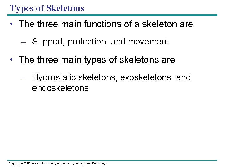 Types of Skeletons • The three main functions of a skeleton are – Support,