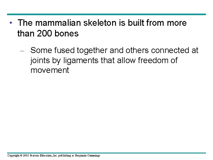 • The mammalian skeleton is built from more than 200 bones – Some • The mammalian skeleton is built from more than 200 bones – Some