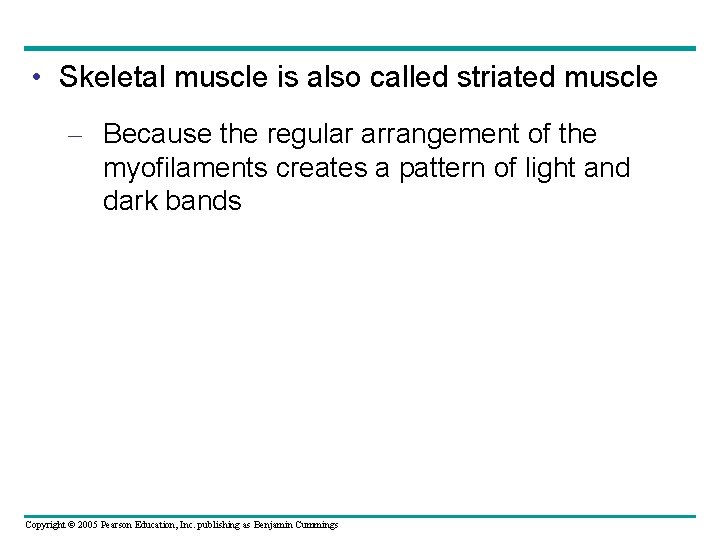  • Skeletal muscle is also called striated muscle – Because the regular arrangement