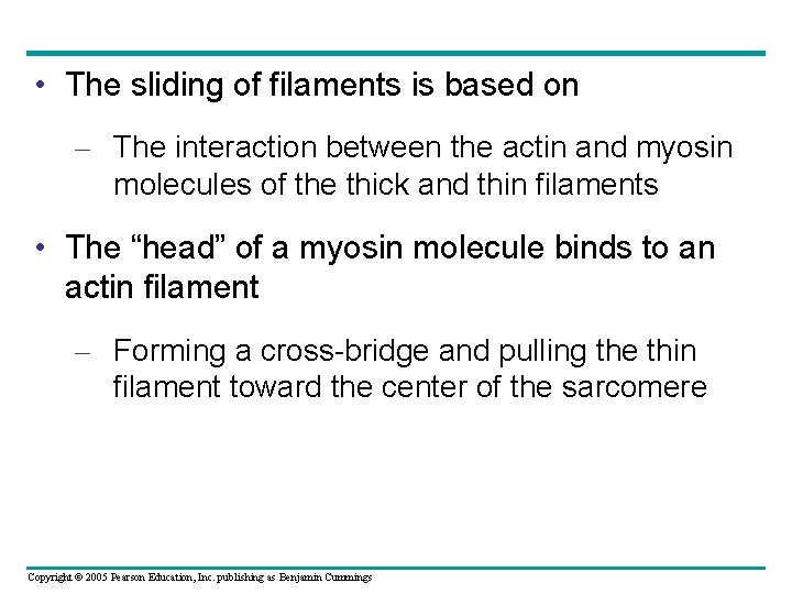  • The sliding of filaments is based on – The interaction between the