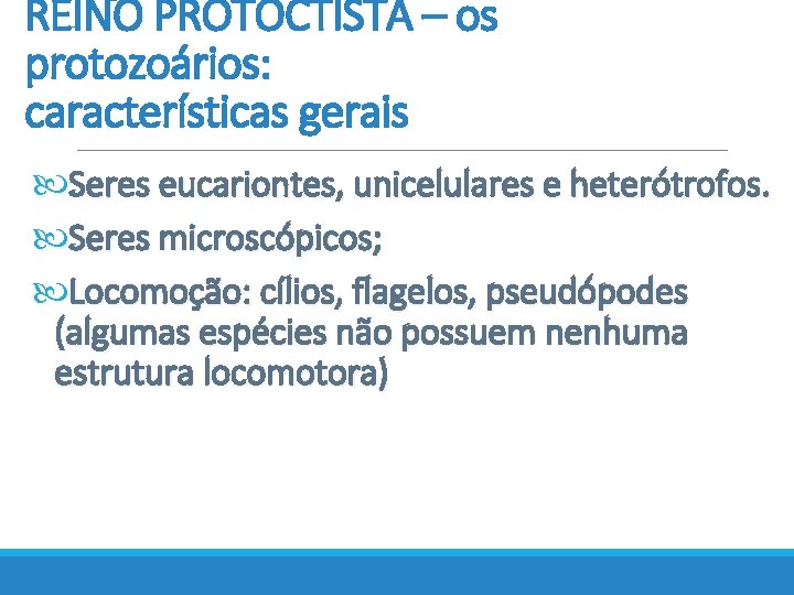 REINO PROTOCTISTA – os protozoários: características gerais Seres eucariontes, unicelulares e heterótrofos. Seres microscópicos;