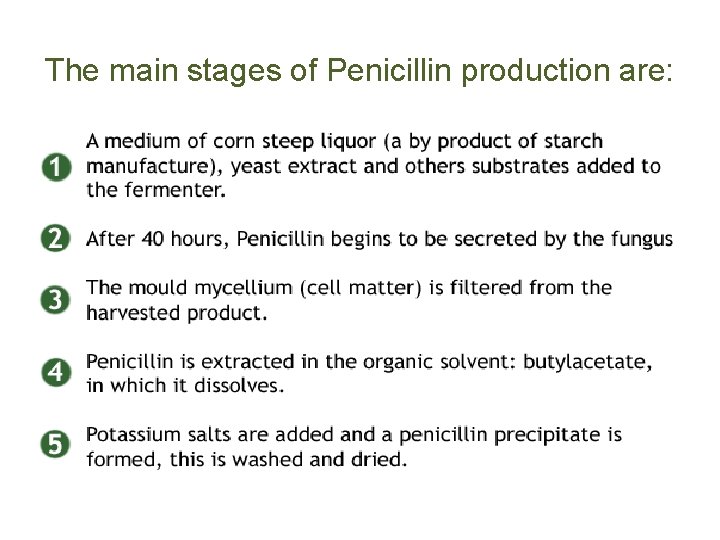 The main stages of Penicillin production are: 