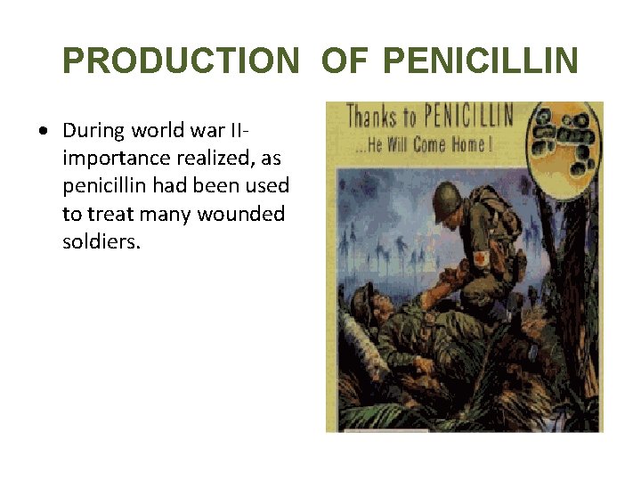 PRODUCTION OF PENICILLIN During world war IIimportance realized, as penicillin had been used to