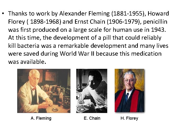  • Thanks to work by Alexander Fleming (1881 -1955), Howard Florey ( 1898