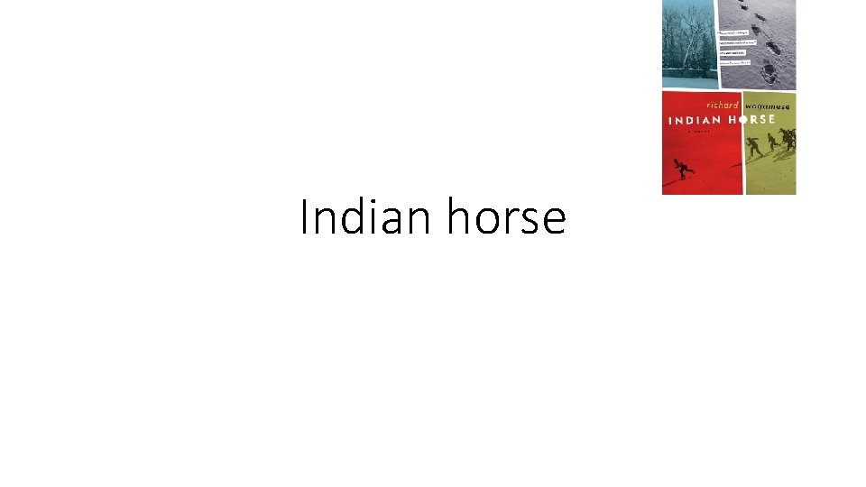 Indian horse 