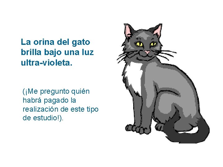 La orina del gato brilla bajo una luz ultra-violeta. (¡Me pregunto quién habrá pagado