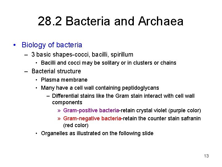 28. 2 Bacteria and Archaea • Biology of bacteria – 3 basic shapes-cocci, bacilli,