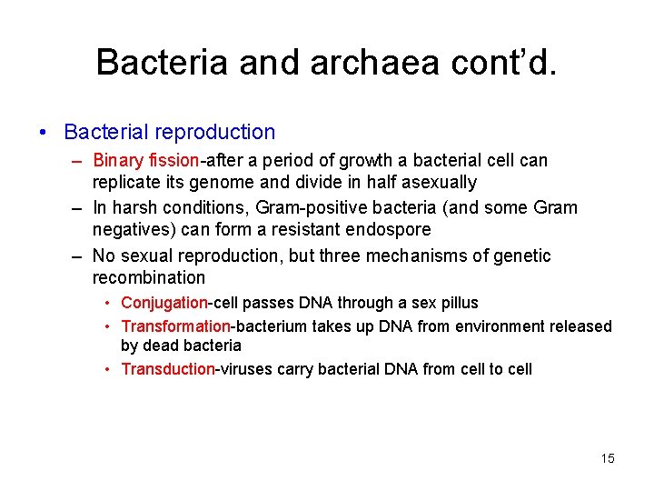 Bacteria and archaea cont’d. • Bacterial reproduction – Binary fission-after a period of growth