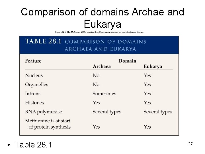 Comparison of domains Archae and Eukarya • Table 28. 1 27 