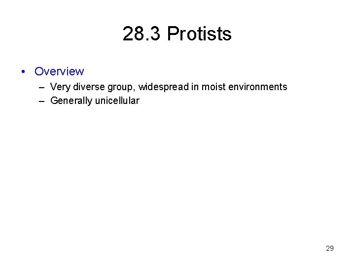 28. 3 Protists • Overview – Very diverse group, widespread in moist environments –