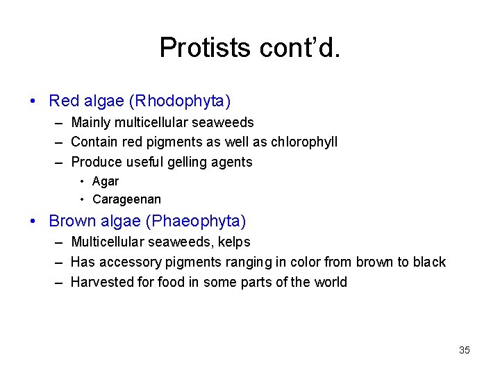 Protists cont’d. • Red algae (Rhodophyta) – Mainly multicellular seaweeds – Contain red pigments