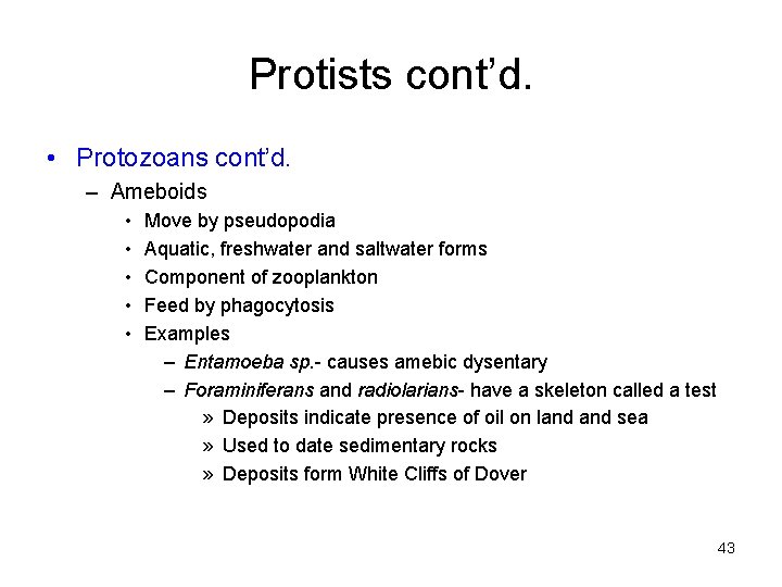 Protists cont’d. • Protozoans cont’d. – Ameboids • • • Move by pseudopodia Aquatic,