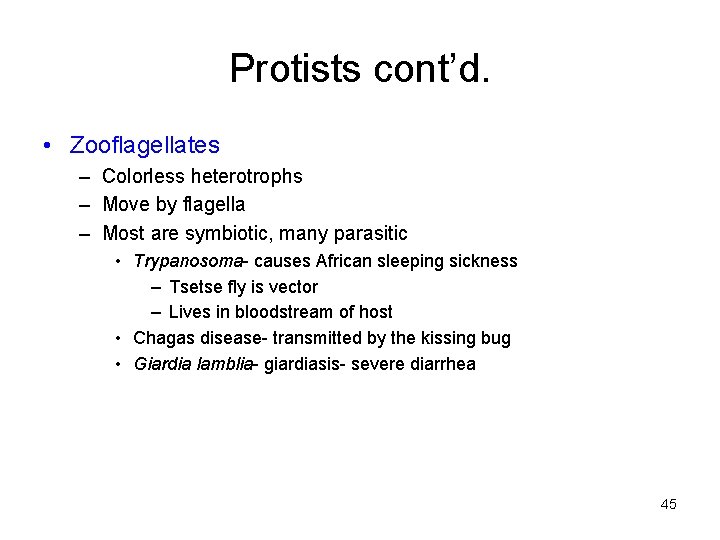 Protists cont’d. • Zooflagellates – Colorless heterotrophs – Move by flagella – Most are