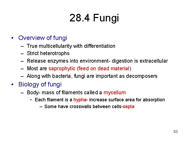 28. 4 Fungi • Overview of fungi – – – True multicellularity with differentiation