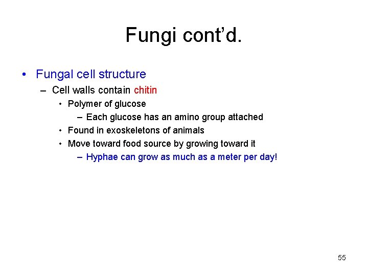 Fungi cont’d. • Fungal cell structure – Cell walls contain chitin • Polymer of