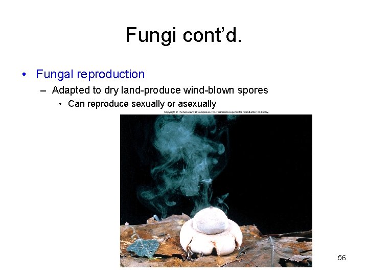 Fungi cont’d. • Fungal reproduction – Adapted to dry land-produce wind-blown spores • Can