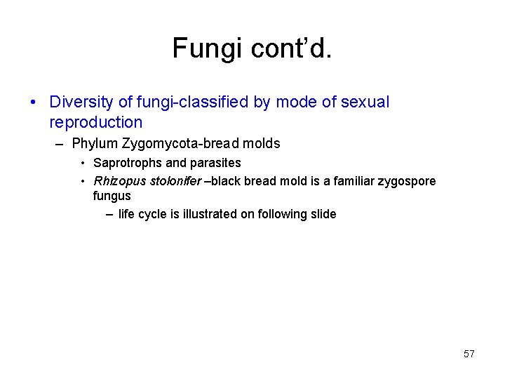 Fungi cont’d. • Diversity of fungi-classified by mode of sexual reproduction – Phylum Zygomycota-bread