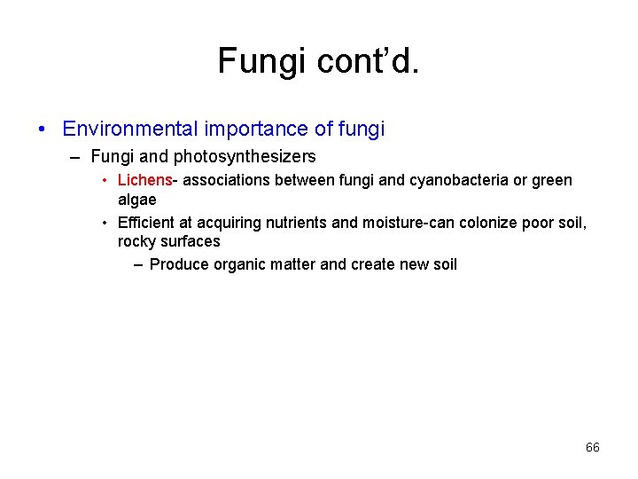 Fungi cont’d. • Environmental importance of fungi – Fungi and photosynthesizers • Lichens- associations