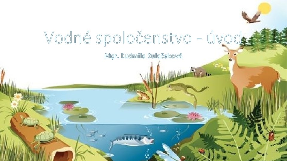 Vodné spoločenstvo - úvod Mgr. Ľudmila Sulačeková 